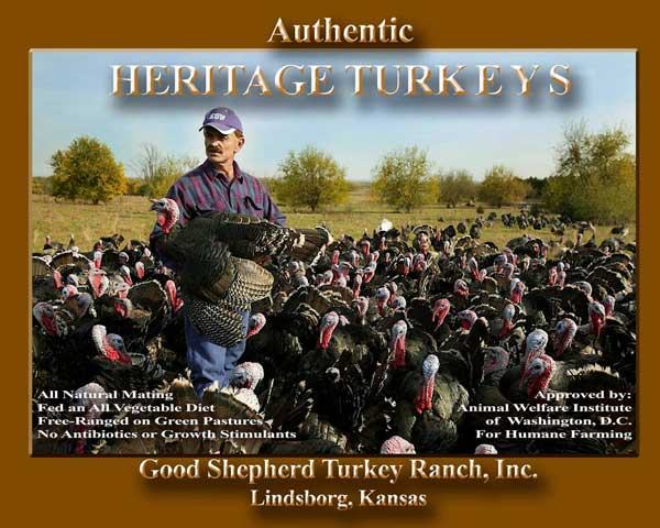 Data summary chart image 10