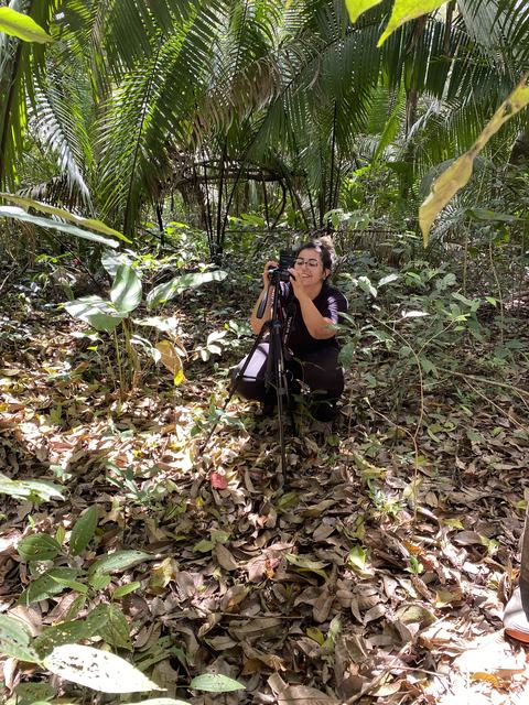 Gabriella de Souza assessing canopy cover and light infiltration using photography techniques in the Southern Belize jungle.