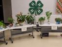 multiple potted plants displayed on white plastic tables at a garden show