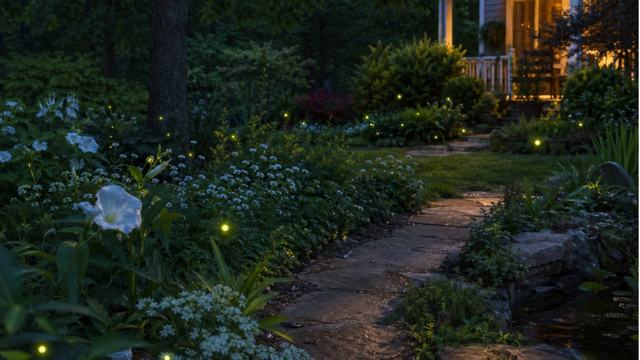 A garden at nighttime with light colored flowers, fireflies illuminating their surroundings, and a walkway leading to the house's front porch with the light on.