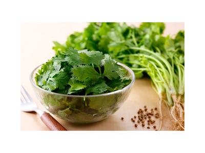 Cilantro in a bowl