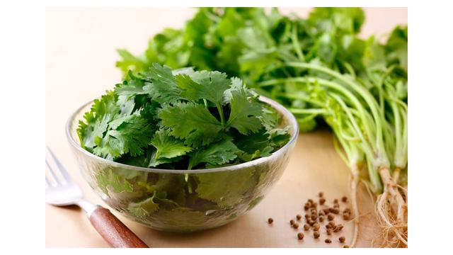 Cilantro in a bowl
