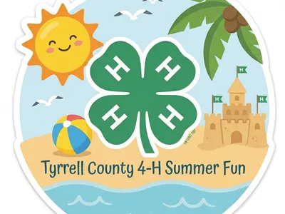 A circular 4-H beach-themed sticker featuring a central clover, sun, sandcastle, and beach ball. Text below reads: "Tyrrell County 4-H Summer Fun."