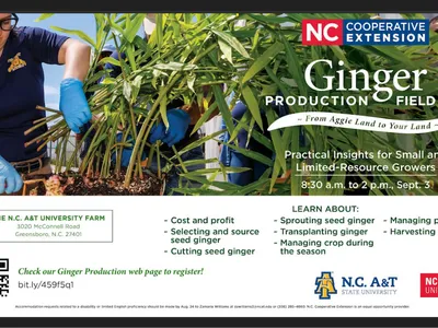 Ginger Production Field Day Flyer