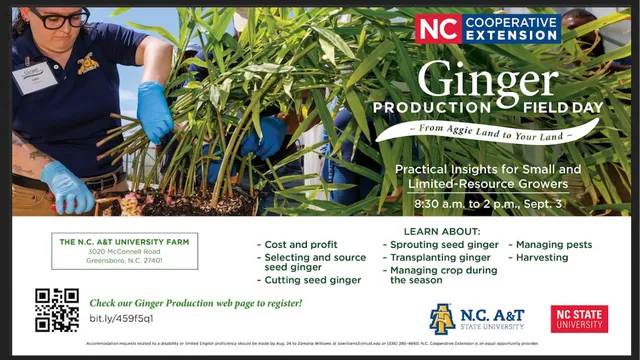 Ginger Production Field Day Flyer