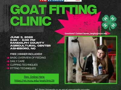 Workshop flyer for the goat fitting clinic.