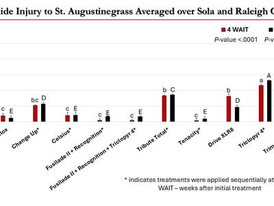 Bar graph displaying the percent of turfgrass Injury for ten treatments at both four weeks after initial treatment and eight weeks after initial treatment.