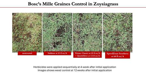 Four images showing weed control at 12 weeks after initial application, including an untreated plot, a Sublime treated plot, a Trimec Classic + Quicksilver treated plot, and a SpeedZone Southern treated plot.