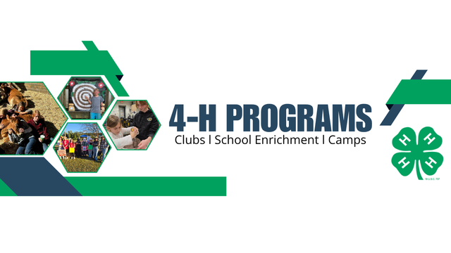 4-H Programs; Clubs; School Enrichment; Camps