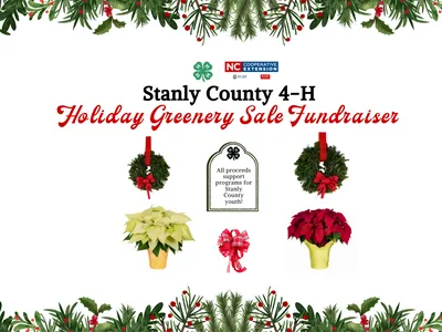 red and white poinsettias, wreaths in 2 sizes and a handmade bow framed in holiday garland with the words Stanly County 4-H Holiday Greenery Sale Fundraiser