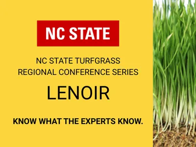 Yellow background with "NC State" in a red box at the top. Black text reads "NC State Turfgrass Regional Conference Series, Lenoir . Know what the experts know." Green grass is shown to the right.
