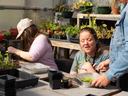 Group Participants gain vocational and coordination skills during propagation session