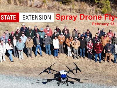 BIG 900  x 600 plus image