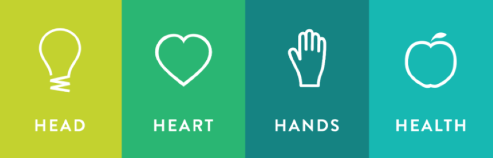 head, heart, hands, health representing 4-H
