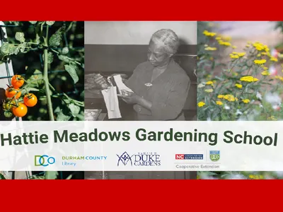 Gardening school banner including pictures of tomato, Hattie Meadows, and native plants