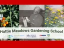 Gardening school banner including pictures of tomato, Hattie Meadows, and native plants
