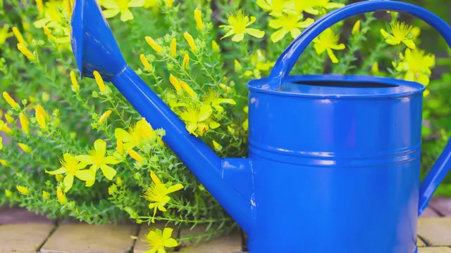 Blue watering can