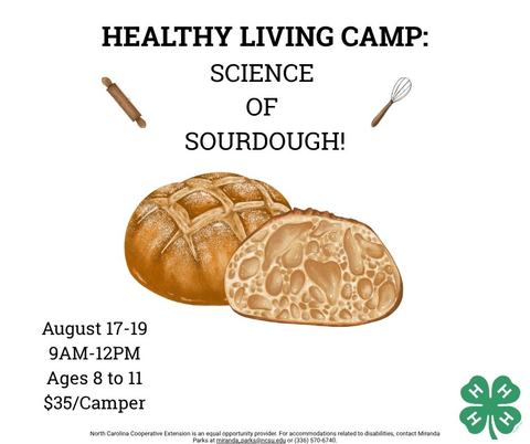 Healthy Living Camp: The Science of Sourdough!
August 17 through 19
9AM-12PM
Open to ages 8 through 11
$35 per camper
Green 4-H Clover Logo