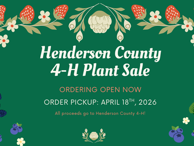 A green graphic for the Henderson County 4-H Plant Sale featuring illustrations of strawberries, blueberries, and blackberries. The text states: "Henderson County 4-H Plant Sale. Ordering open now. Order pickup: April 18t