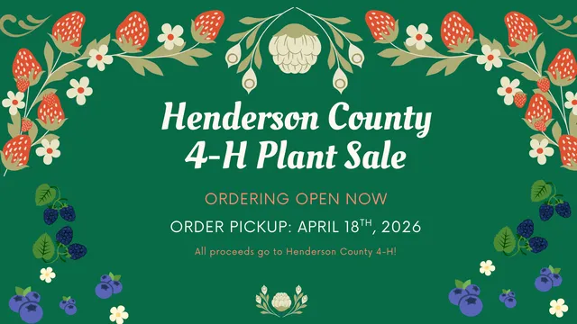 A green graphic for the Henderson County 4-H Plant Sale featuring illustrations of strawberries, blueberries, and blackberries. The text states: "Henderson County 4-H Plant Sale. Ordering open now. Order pickup: April 18t