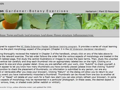 Decorative screenshot of the home page of the exercises