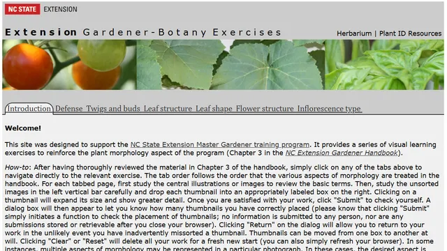 Decorative screenshot of the home page of the exercises