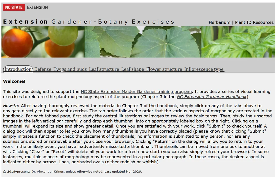 Decorative screenshot of the home page of the exercises