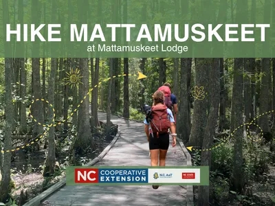 two people hiking on boardwalk in woods