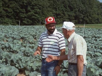 Two people in cabbage field