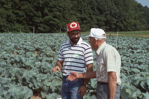 Two people talking in cabbage field
