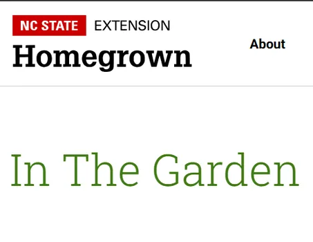 NC State State Extension Logo - red box with text, and the text "Homegrown in the Garden"