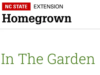 Logo NC State Extension Homegrown in the Garden