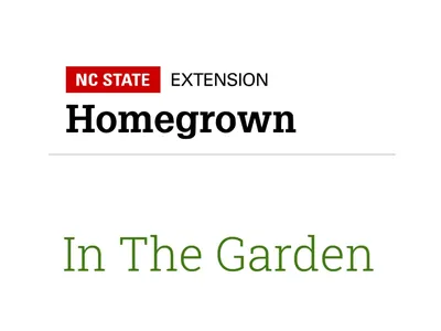 NC State Extension Homegrown In The Garden Logo (text)