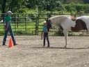 Local picture of 2 judges and a kid leading a horse