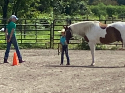 Local picture of 2 judges and a kid leading a horse