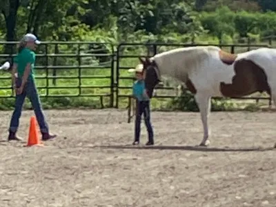 Local picture of 2 judges and a kid leading a horse