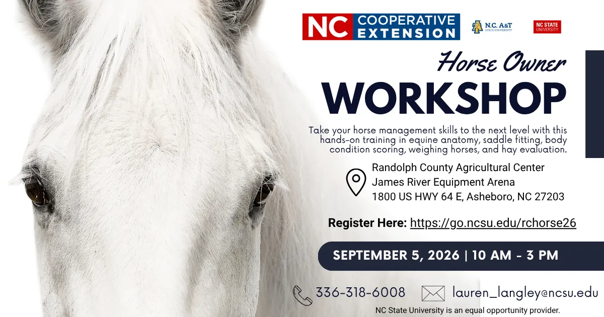horse workshop flyer