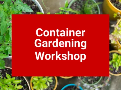 Container Gardening Workshop
