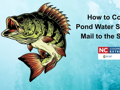 How to collect a pond water sample and mail to the state lab.