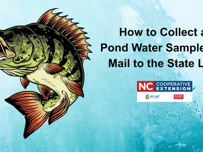 How to collect a pond water sample and mail to the state lab.