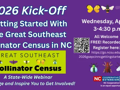 banner for the webinar about How to Get Started with the Great Southeast Pollinator Census in NC on April 15