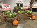 2024 Heaviest watermelon winners at the Rowan County Fair