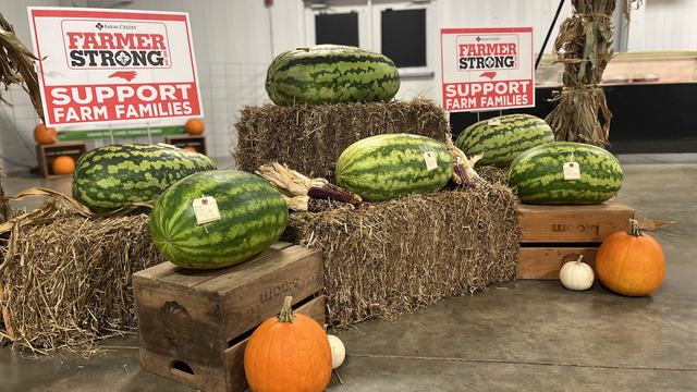 2024 Heaviest watermelon winners at the Rowan County Fair