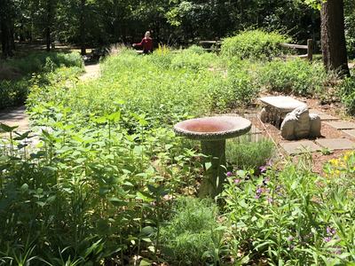 Crowder Park Prairie and Native Garden in Summer 2020.