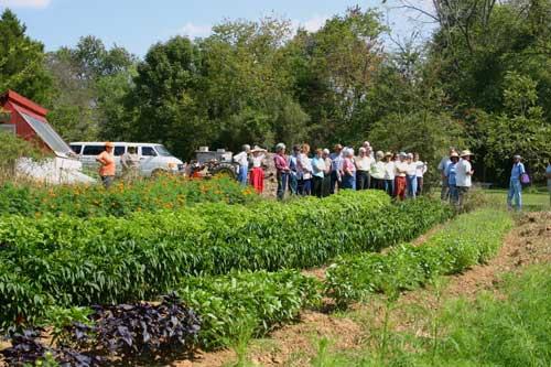 Perry-winkle Farm photo 4
