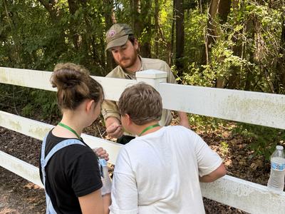 Two 4-H members learning from NC Forestry about Tree ID. Inspecting different parts of the tree.