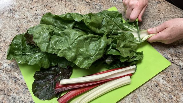 Red and Green Swiss Chard on a blue cutting board