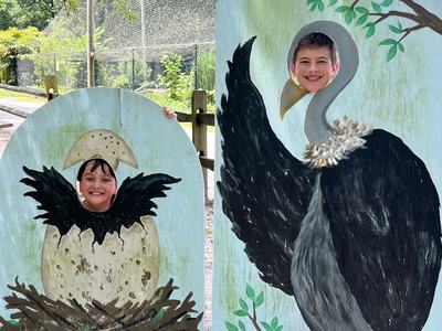 Sylvan Heights Bird Park