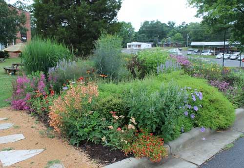 pollinator garden