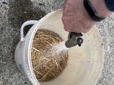 Adding water to mosquito dunk bucket